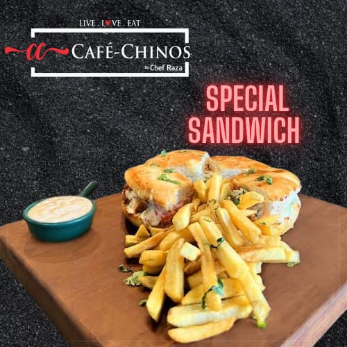 Special Sandwhich with fries
